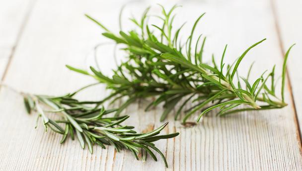 Benefits of Rosemary Herb Benefits of Rosemary Herb