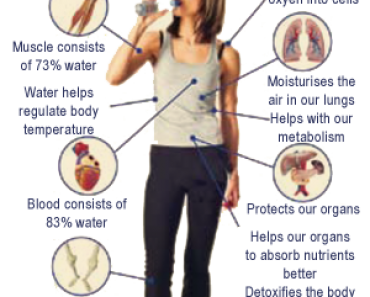 Function of water in the body and benefits of drinking water Benefits of drinking water