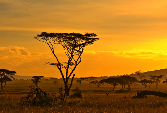 Kalahari Desert