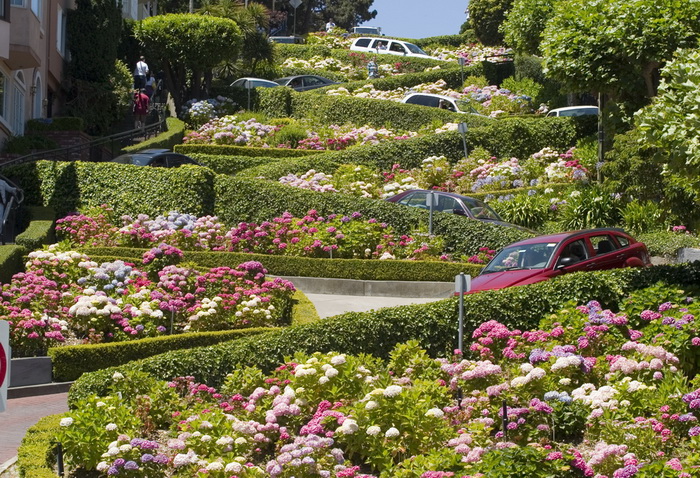 Lombard Street San Francisco
