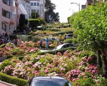 Lombard Street in San Francisco Lombard Street