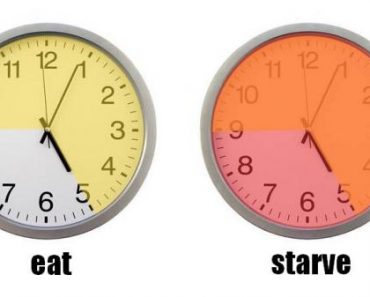 The 8 Hour Diet Plan 8 hour diet