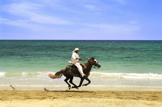 Djerba Island Tunisia