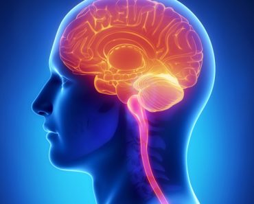 Everything You Need to Know About Meningitis Everything You Need to Know About Meningitis