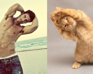 Handsome Guys And Cute Kittens Handsome Guys And Cute Kittens