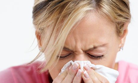 Foods that help fight colds