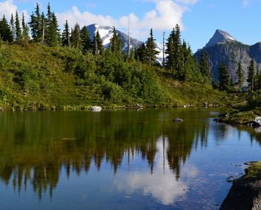 Great Bear Rainforest Great Bear Rainforest