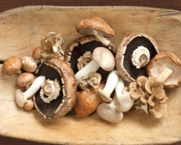 Mushrooms - Home Remedy for Cancer and Tumors Mushrooms - Home Remedy for Cancer and Tumors