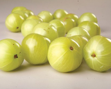 Amalaki Herb By Himalaya Amalaki
