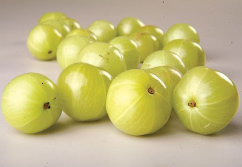Amalaki