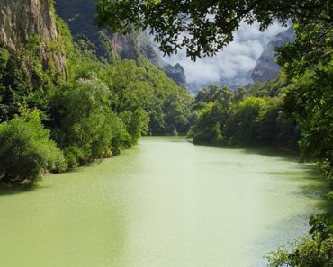 Amazon Rainforest Amazon Rainforest
